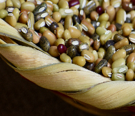 Rice Beans(Rians)