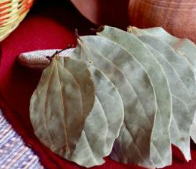Bay Leaf(Tej Patta)