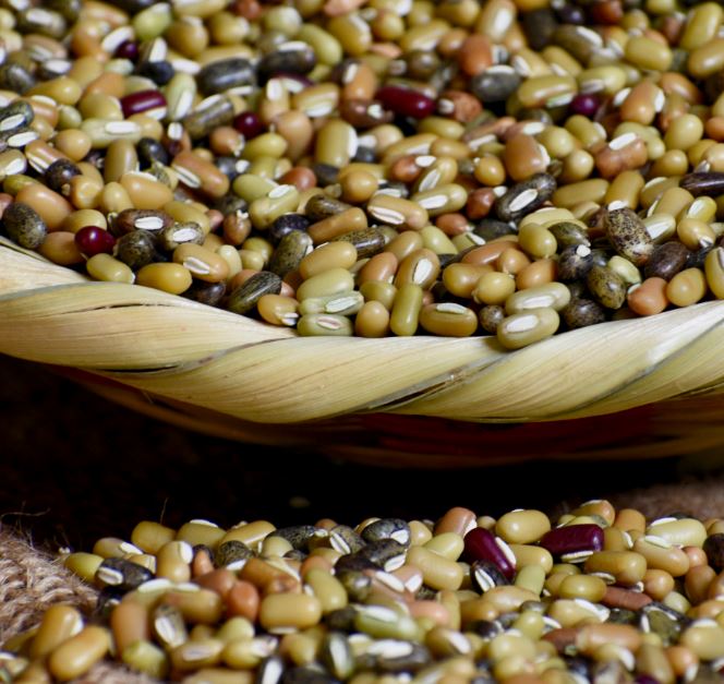 Rice Beans(Rians/Naurangi)